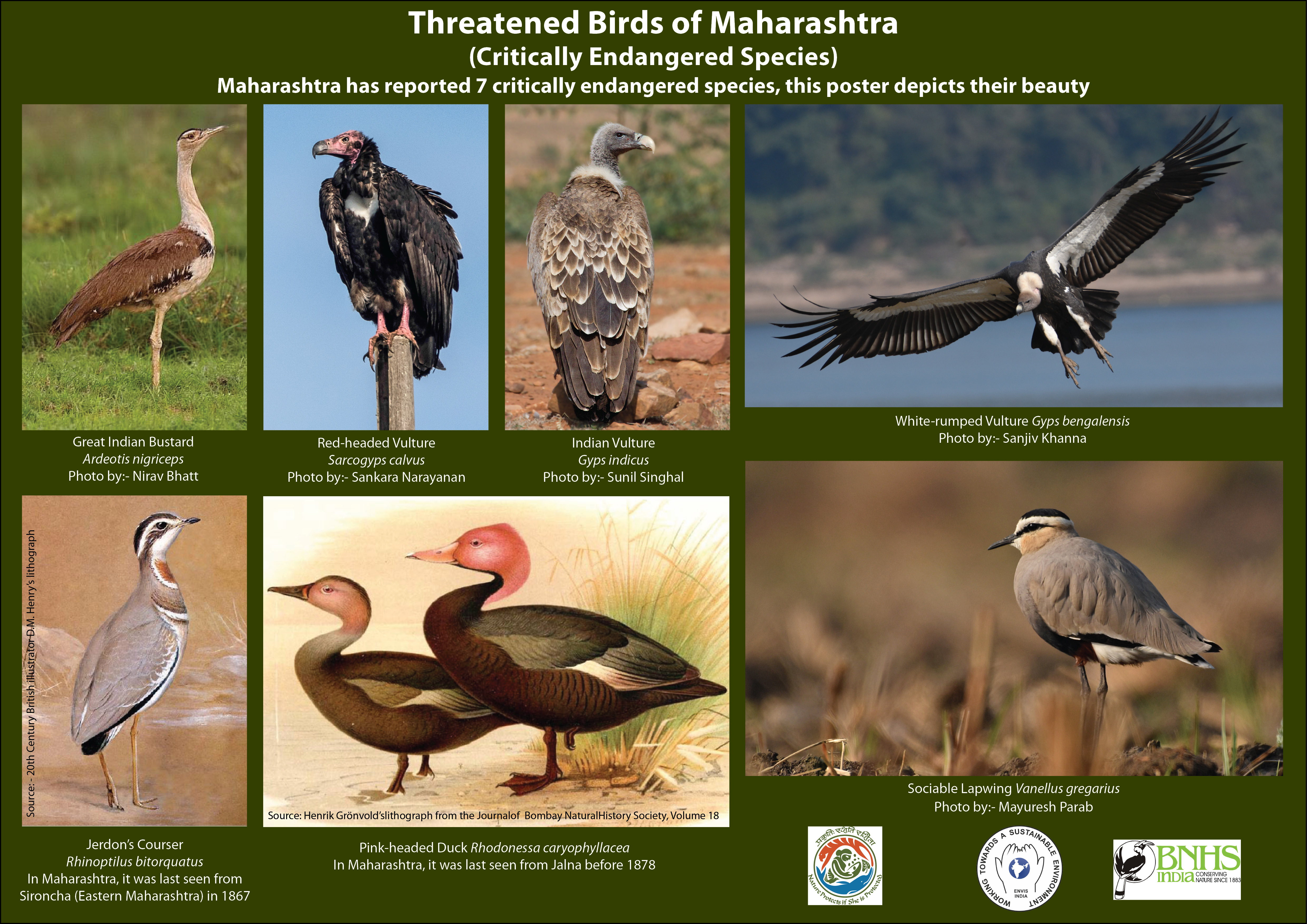 Critically Endangered Critically Endangered