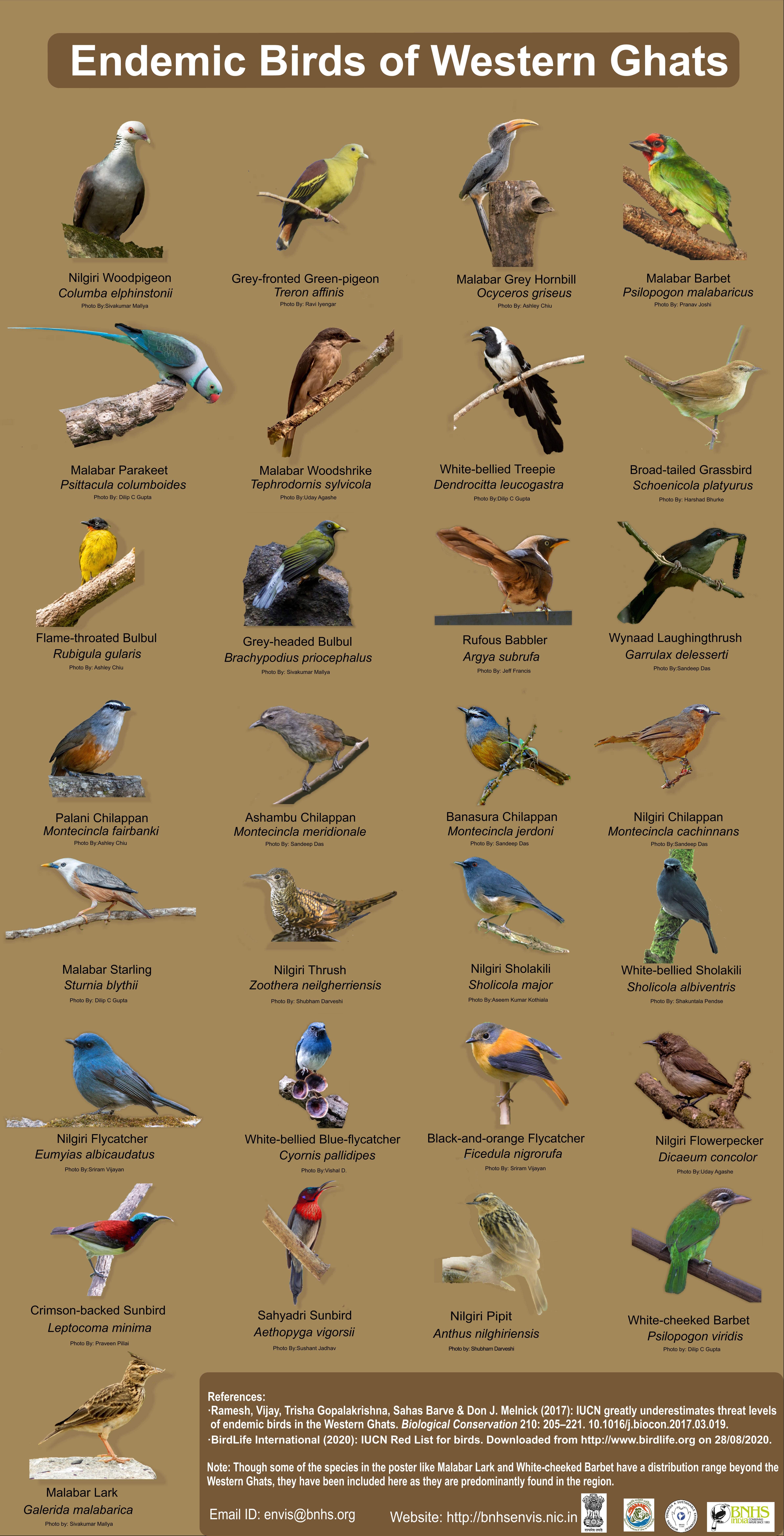 Endemic Birds of Western Ghats